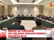 凝聚智慧力量 共譜奮進新篇 劉凱 田瑞 趙林斌 張輝參加各代表團審議和政協(xié)委員分組討論