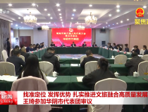 找準定位 發(fā)揮優(yōu)勢 扎實推進文旅融合高質量發(fā)展 王琦參加華陰市代表團審議