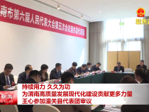 持續(xù)用力 久久為功 為渭南高質量發(fā)展現(xiàn)代化建設貢獻更多力量 王心參加潼關縣代表團審議