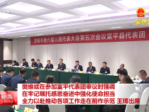 樊維斌在參加富平代表團審議時強調 在牢記囑托感恩奮進中強化使命擔當 全力以赴推動各項工作走在前作示范 王琦出席