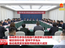 陳曉勇在參加合陽縣代表團審議時強調 錨定目標任務 堅持干字當頭 推動高質量發展取得新的更大成效