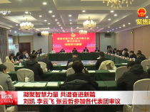 凝聚智慧力量 共譜奮進新篇 劉凱 李云飛 張云哲參加各代表團審議