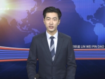 2月21日临渭新闻
