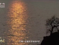 【牢记嘱托·看见美好中国】守护洱海清波，让美景永驻人间