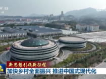 【新思想引领新征程】加快乡村全面振兴 推进中国式现代化