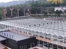 一习话·奋进的春天丨“更好发挥县城连接城市、带动乡村作用”