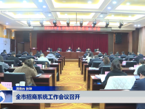 全市招商系統工作會議召開