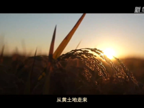总书记的春天之约｜让农民吃上“定心丸”