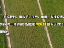 学习在理丨发展农业新质生产力 中央一号文件明方向