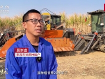 【牢记嘱托·看见美好中国】让乡亲们的生活像甘蔗一样甜蜜