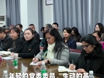 尼泊尔大会党干部在中国基层见证“生动的民主实践”