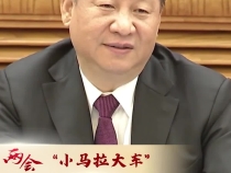 习语丨习近平总书记的两会之“喻”