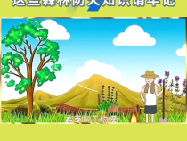 【渭南應急】邂逅春光——這些森林防火知識請牢記