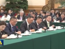 【央视快评】打头阵 勇争先 走在前 作示范