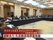 【坚定信心谋发展 团结奋进新征程——代表委员议国是】凝聚合力 扎实推进高质量发展
