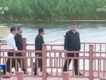 植树增绿共建美丽中国