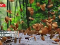 瞰云南