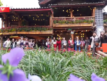 习近平来到丽江古城