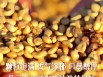 一眼心动的中国｜来一杯云南小粒咖啡