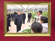 习近平在云南考察