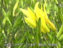 让“幸福产业”造福群众