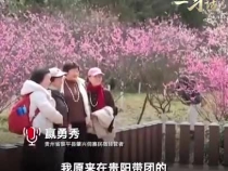 一习话丨“保留特色文化 在文旅融合中彰显光彩”