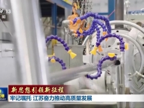 【新思想引领新征程】牢记嘱托 江苏奋力推动高质量发展