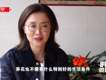 时政微调查丨玫瑰的故事
