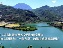习言道｜一碗水的牵挂