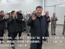 这份“美丽产业”为乡村振兴锦上添“花”