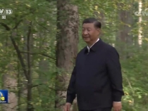 【新思想引领新征程】共植新绿 建设美丽中国