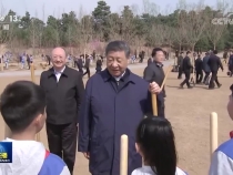 习近平：汇聚共建美丽中国磅礴力量 让祖国大地更加绿意盎然生机勃发