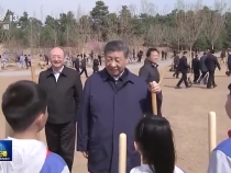 △视频：习近平参加首都义务植树活动
