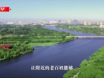 时政现场说丨践行绿色使命 奏响生态强音