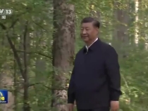【新思想引领新征程】共植新绿 建设美丽中国