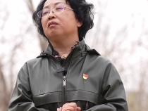 拾光纪·种一棵树最好的时间是十年前，更是现在