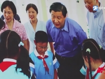 第一视点丨一封信 一颗种子 一片林