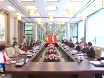 习近平会见西班牙首相桑切斯