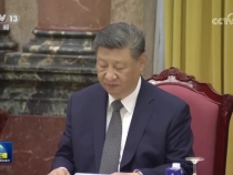 习近平会见越南国家主席梁强