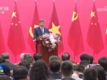 习近平同越共中央总书记苏林、越南国家主席梁强共同会见中越人民大联欢活动代表