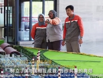 视频画报｜隔海相望的千年友邻