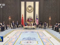 习近平会见马来西亚最高元首