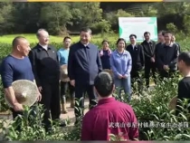 何以中国｜习近平的闽茶缘