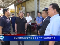趙峰剛帶隊檢查節前安全生產及市容環境工作