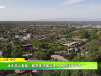 潼關(guān)縣太要鎮(zhèn)：聚焦重點(diǎn)強(qiáng)治理 人居環(huán)境增顏值