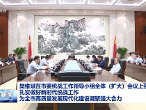 樊維斌在市委統戰工作領導小組全體（擴大）會議上強調 扎實做好新時代統戰工作 為全市高質量發展現代化建設凝聚強大合力