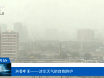 【渭南科普】科普中國(guó)——沙塵天氣的自我防護(hù)