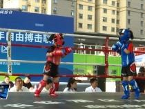 2025陜西省青少年自由搏擊聯賽渭南賽區比賽收官