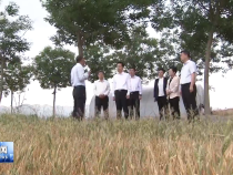 趙一德在調研農業生產工作時強調 全力抗旱減災保收成 筑牢糧食穩產基本盤