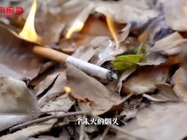 【全國防災減災日】人人講安全 個個會應急——排查身邊災害隱患